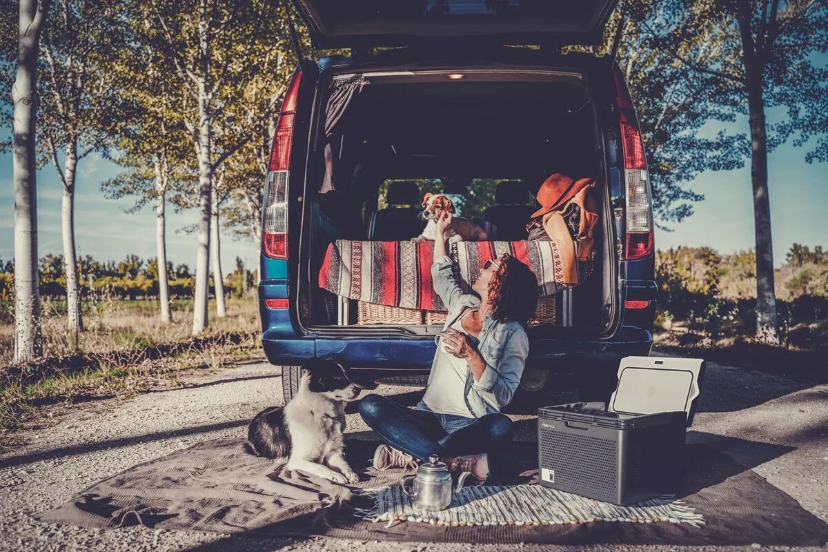 Yeticool CX10 Kompressor-Kühlbox, Mit Heizfunktion, 12/24/230V, 10L – Bild 7